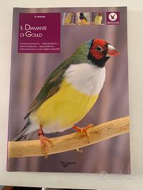 Il Diamante di gould