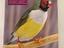 Immagine 1
