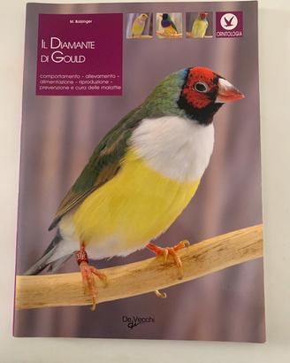 Il Diamante di gould