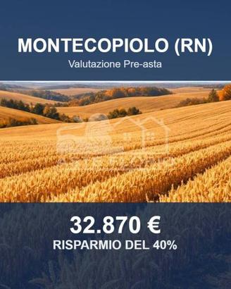 Immobile in asta di 72496 m² a Montecopiolo