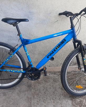 bici ibrida