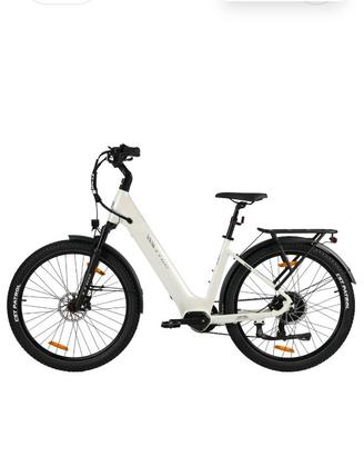 bicicletta pedalata assistita