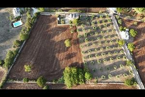 Terreno rustico