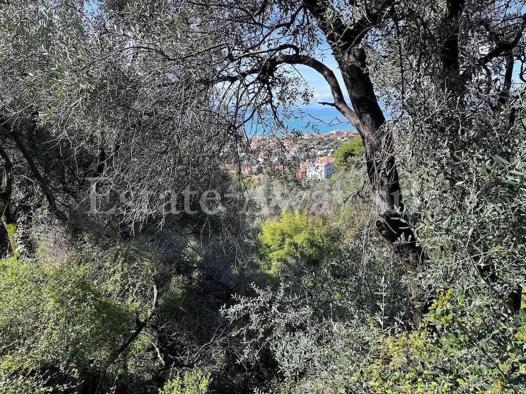 Terreno di 6000 m² a Bordighera - Altro