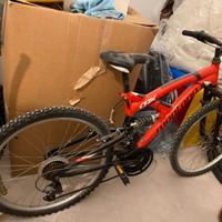 Mountain Bike Montana