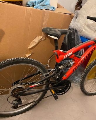 Mountain Bike Montana