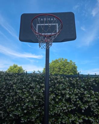 CANESTRO BASKET 