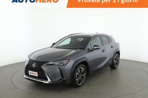 LEXUS UX Full Electric PJ46002