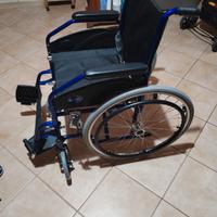sedia a rotelle 