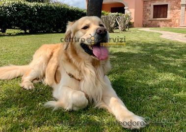 San Teodoro Villette Pet-Friendly da 2 a 10 Pax