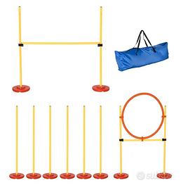 Set Agility Dog