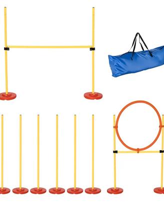 Set Agility Dog