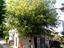 Immagine 28