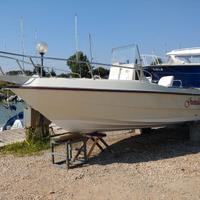 BARCA ELAN 20" MERCURY 115 ELPTO CT 2020