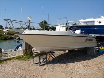 BARCA ELAN 20" MERCURY 115 ELPTO CT 2020