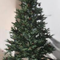 albero di natale