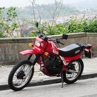 MOTO MORINI 350 X Kanguro - TARGA ORO