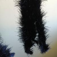 piume di struzzo nero 