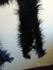 piume di struzzo nero 