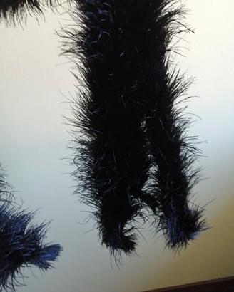 piume di struzzo nero 