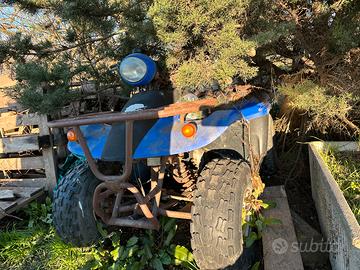 Quad 50cc