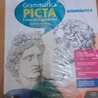 GRAMMATICA PICTA einaudi scuola IMBALLATO