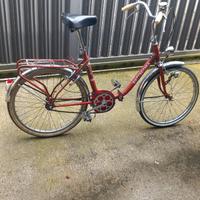 Graziella bottecchia