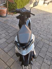 Scooter Honda 50R