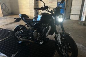 Voge Trofeo 300 - 2021