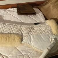 salvagarrese per cavalli