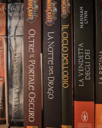 World Warcraft Libri