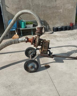 pompa irrigazione caprari