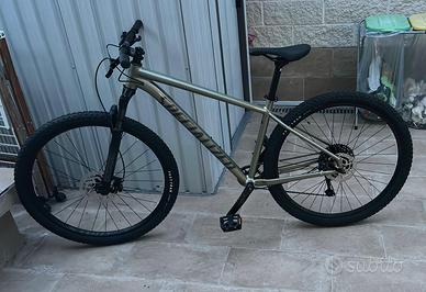 Specialized mtb 29
