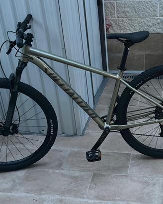 Specialized mtb 29