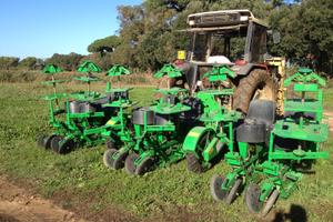 Trapiantatrice SFOGGIA 6 file idraulica