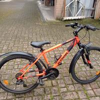 Bici ragazzo 24”
