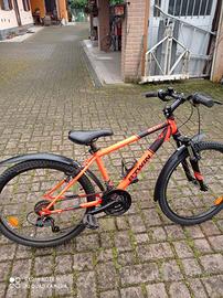 Bici ragazzo 24”