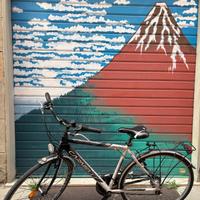 Bici Carnielli usato da uomo, Consegna a MANO