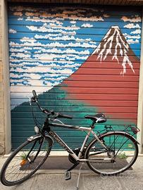 Bici Carnielli usato da uomo, Consegna a MANO