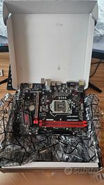 scheda madre h310 gaming plus