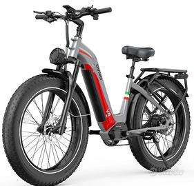 E bike 80nw potenza batteria 960 watt Ovivo