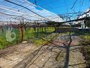 terreno-agricolo-trani-cod-rif-3128340vcg-