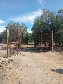 Terreno