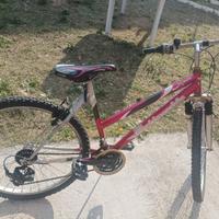 MTB Bottecchia 26 bicicletta