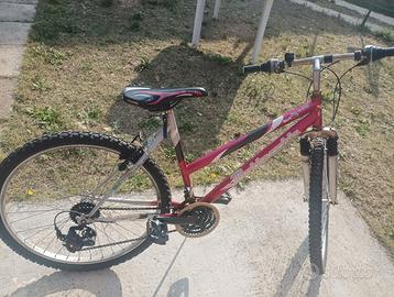 MTB Bottecchia 26 bicicletta