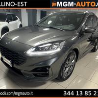 Ford Kuga 1.5 EcoBlue 120 CV aut. 2WD ST-Line X