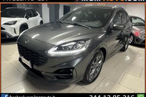 Ford Kuga 1.5 EcoBlue 120 CV aut. 2WD ST-Line X