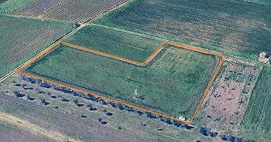 Terreno agricolo coltivabile 3900mq Campi-Novoli