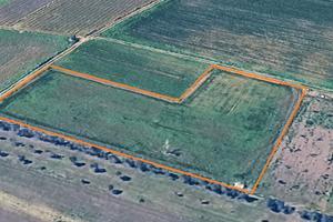 Terreno agricolo coltivabile 3900mq Campi-Novoli