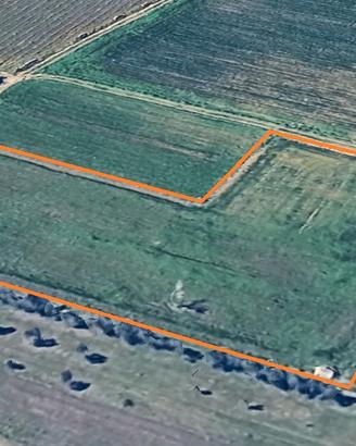 Terreno agricolo coltivabile 3900mq Campi-Novoli